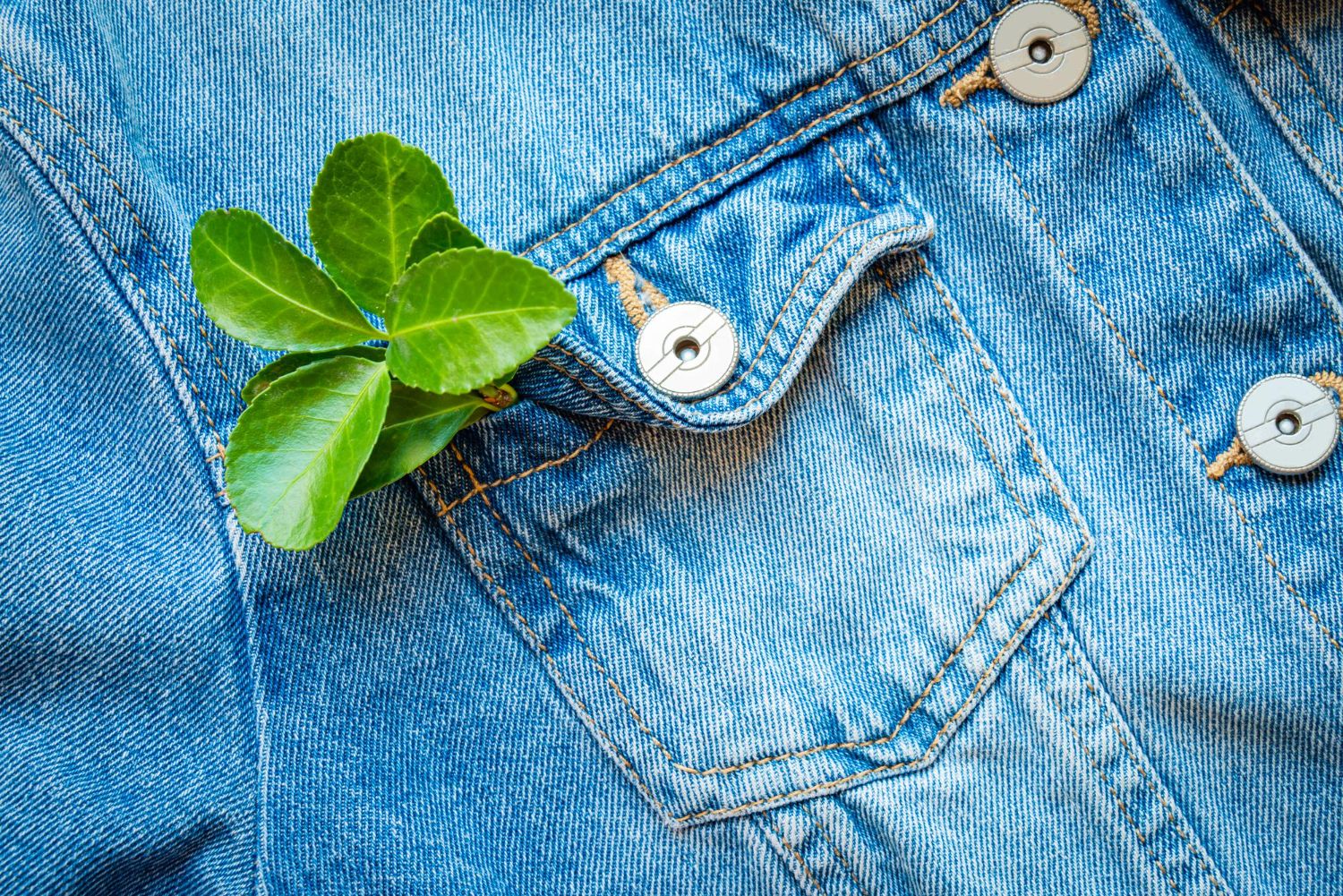 Water-Free Enzyme Washing: The Denim Industry’s Wake-Up Call